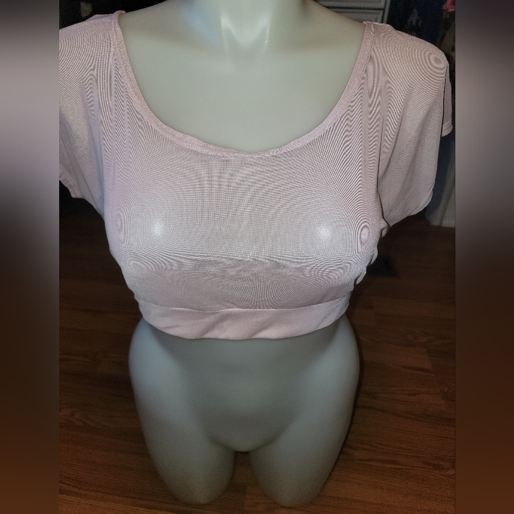 Pink Sheer Crop Top